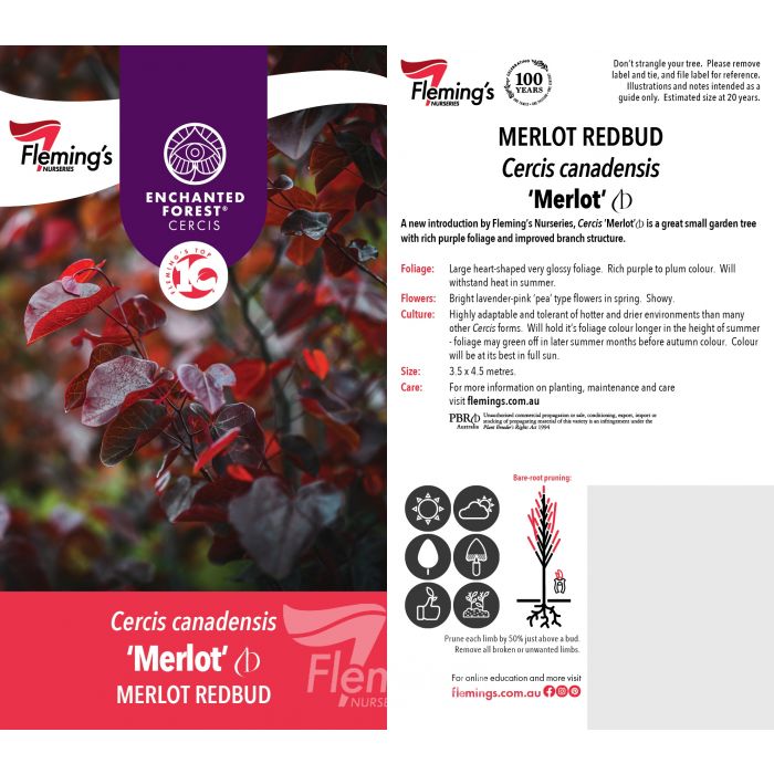 Cercis Merlot 50lt