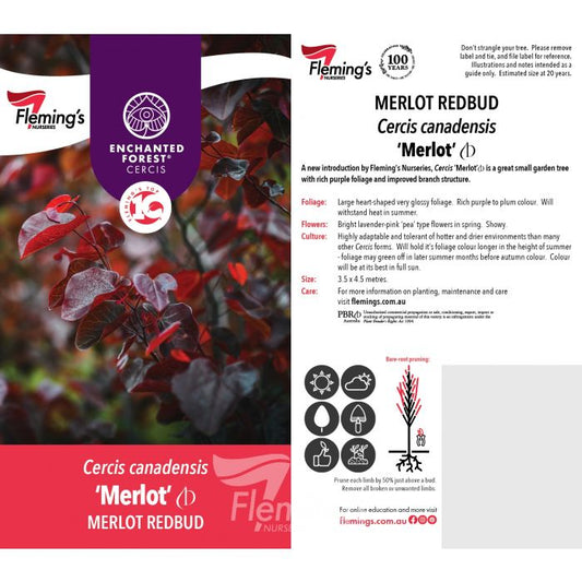 Cercis Merlot 50lt
