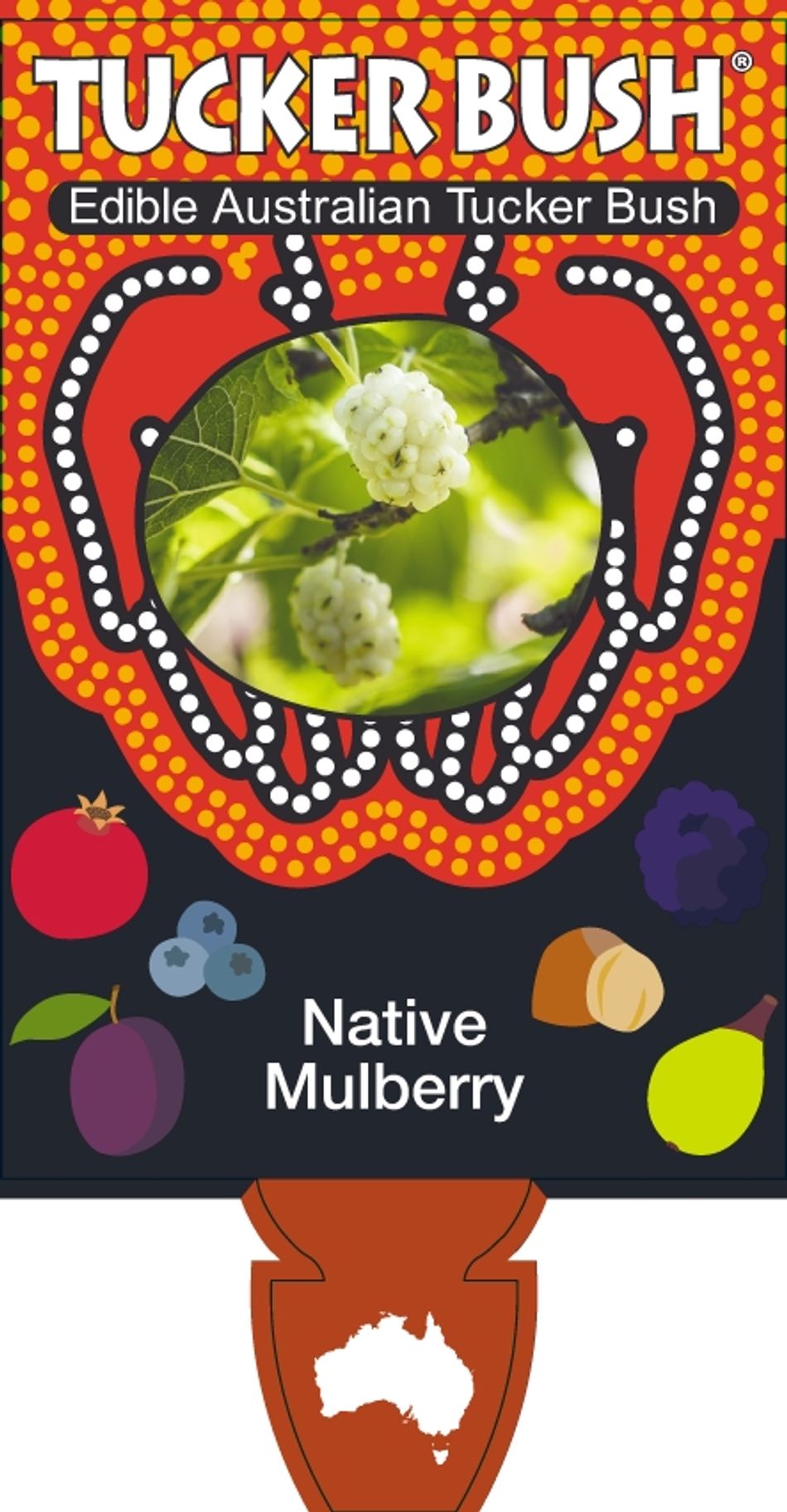 Pipturus Native Mulberry 8lt