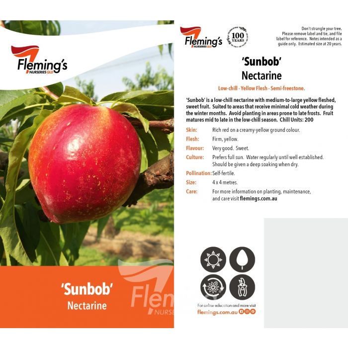 Sunbob 50lt