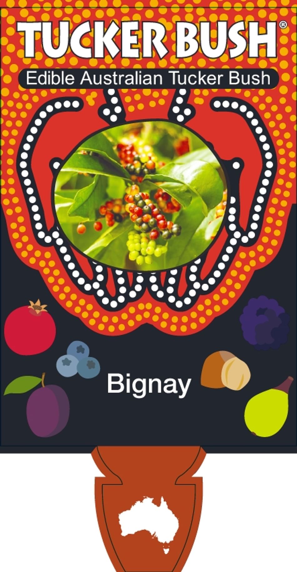 Antidesma Bunius Bignay 8lt