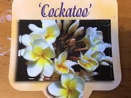 Cockatoo 18lt