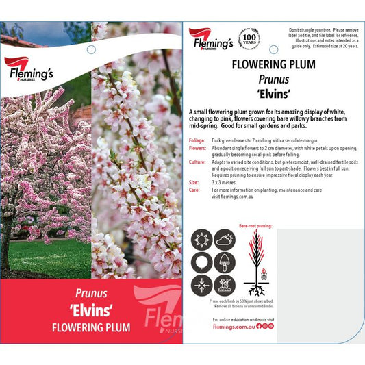 Elvins Flowering Plum 30lt