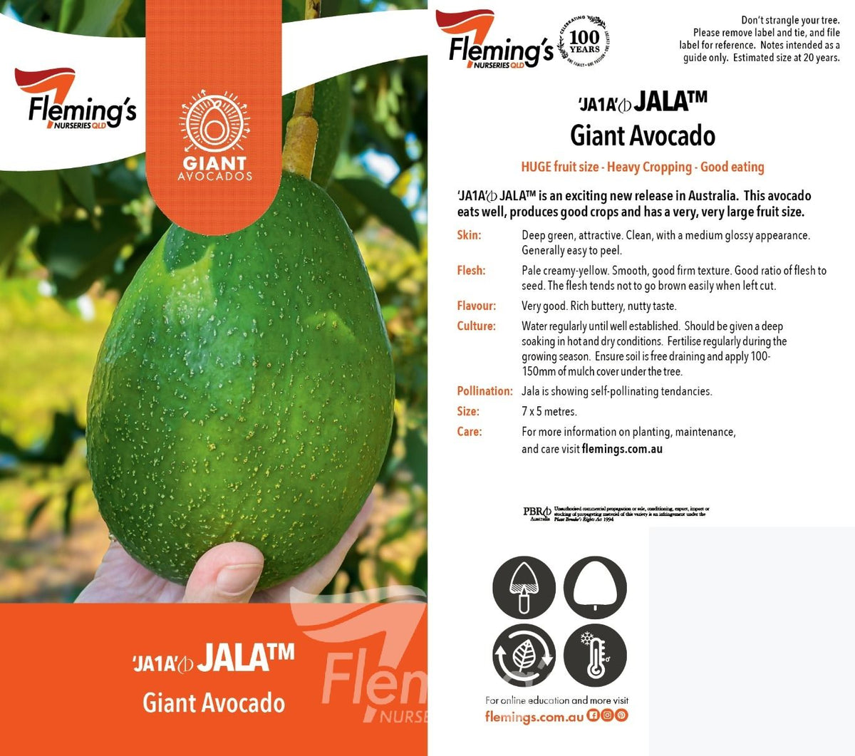 Jala Avocado 30lt