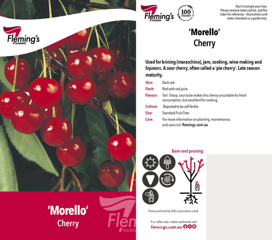 Morello 30lt
