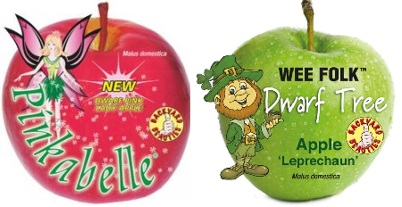 Apple 2way Pinkabelle / Leprechaun