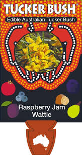 Acacia Raspberry Jam Wattle 8lt