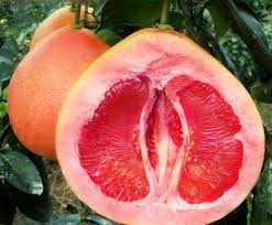 Red Pomelo 5lt