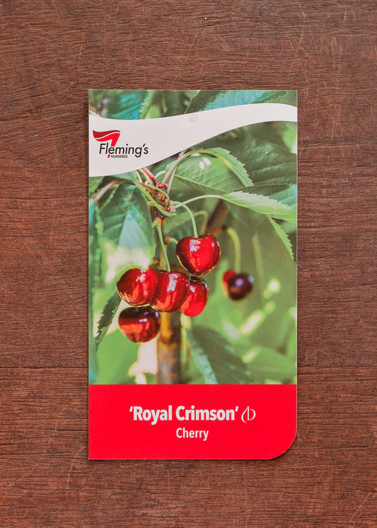 Royal Crimson 30lt