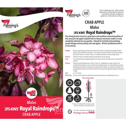 Malus Royal Raindrops 30lt