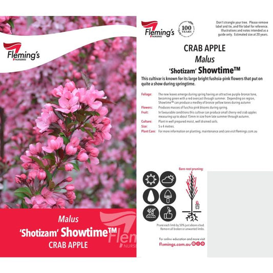 Malus Showtime