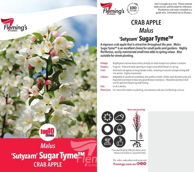 Sugar Tyme