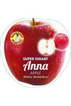 Super Dwarf Anna
