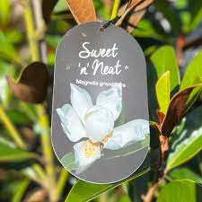 Magnolia Sweet & Neat 30lt