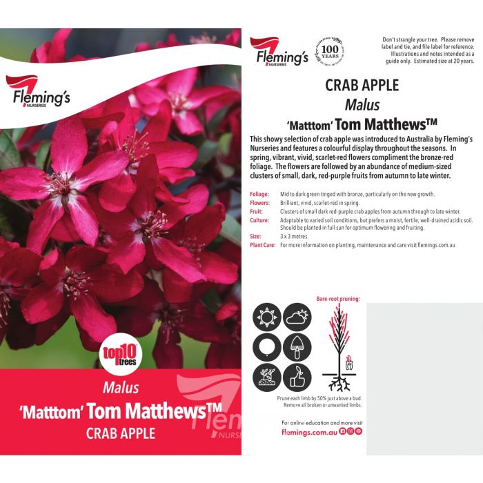 Malus Tom Mathews 30lt