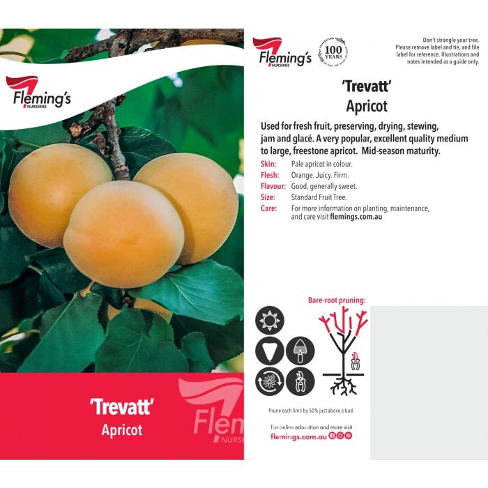 Trevatt18lt