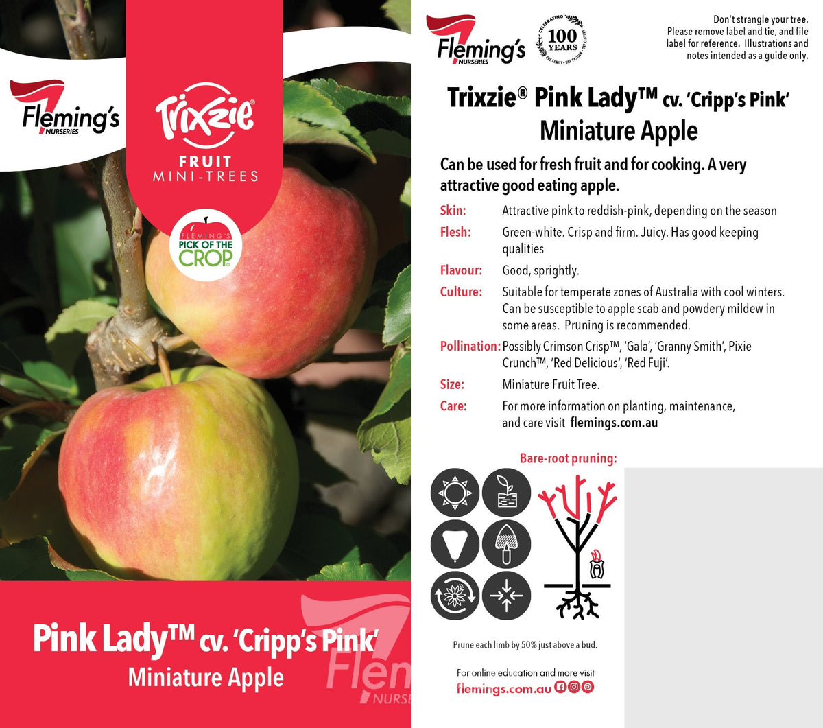 Trixzie Pink Lady 30lt