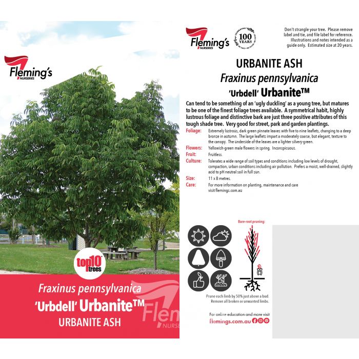 Urbanite 50lt