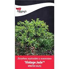 Vintage Jade 8lt