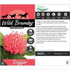 Telopea Wild Brumby Digger 175mm