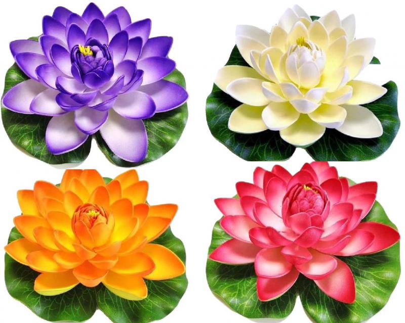 Floating Lilies