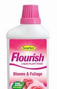 Flourish Blooms & Foliage