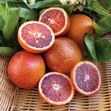 Blood Orange 8lt