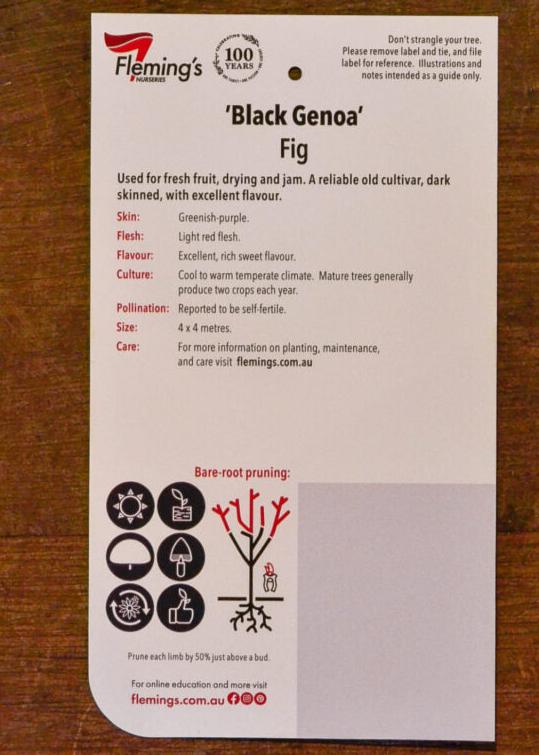 Black Genoa 30lt