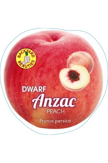 Dwarf Anzac Peach bare root