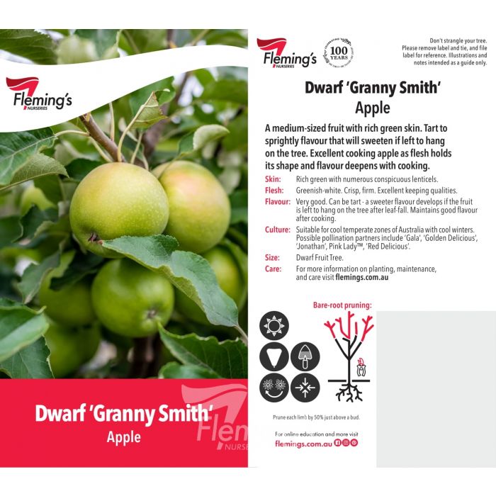 Dwarf Granny Smith bare root