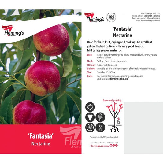 Fantasia 18lt