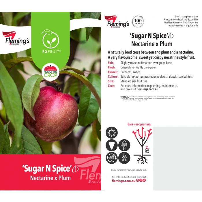 Sugar N Spice 50lt