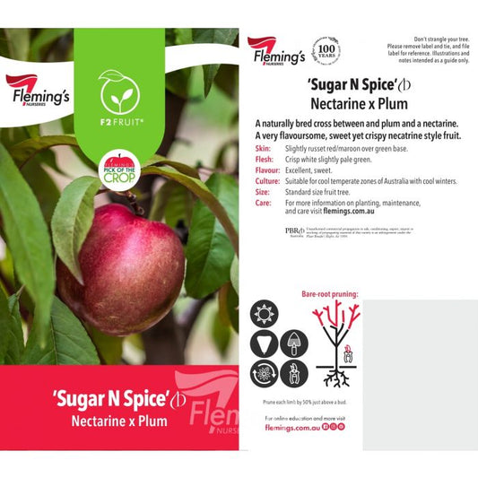 Sugar N Spice 50lt