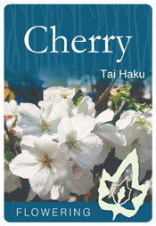 Tai Haku 30lt