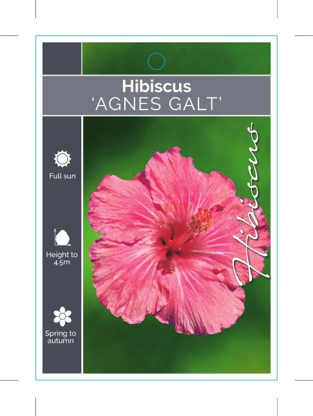 Agnes Gault 3lt
