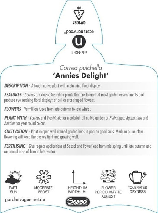 Correa Annie's Delight 14cm