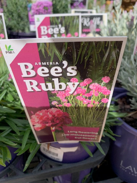 Ameria Bees Ruby 140mm