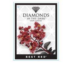 Diamonds In The Dark - Best Red