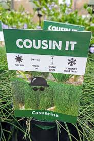 Cousin It 140ml