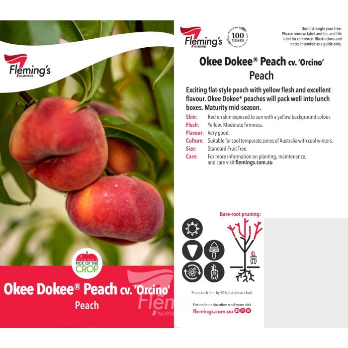 Okee Dokee Flat style Peach bare root