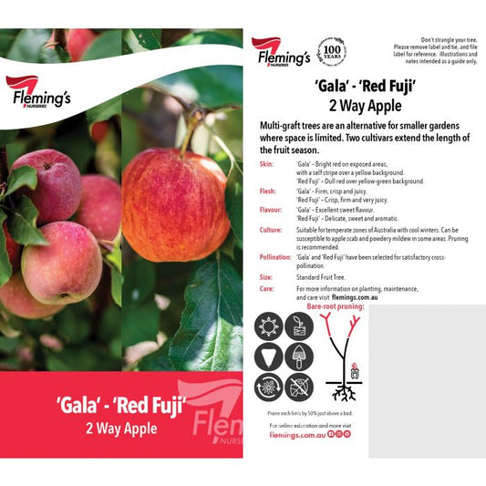 2 Way Gala/Red Fuji bare root