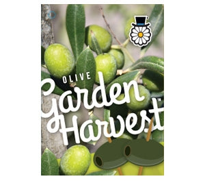 Olive Garden Harvest 25cm