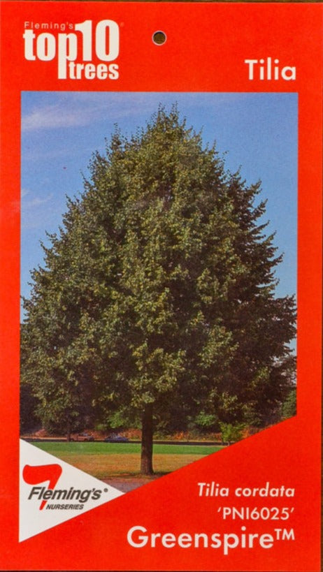 Greenspire 50lt