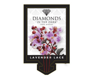 Diamonds In The Dark Lavender Lace 8lt