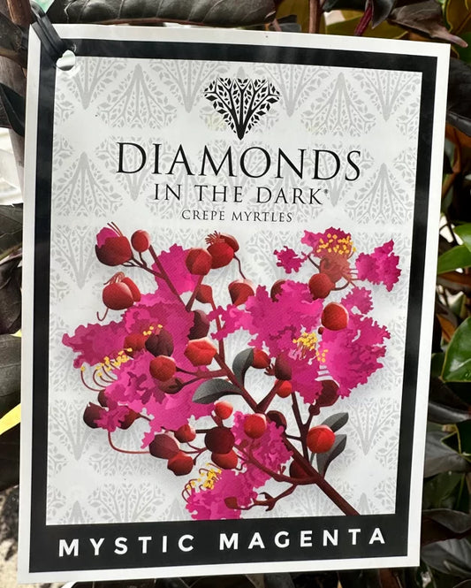 Diamonds In The Dark Magenta 200mm