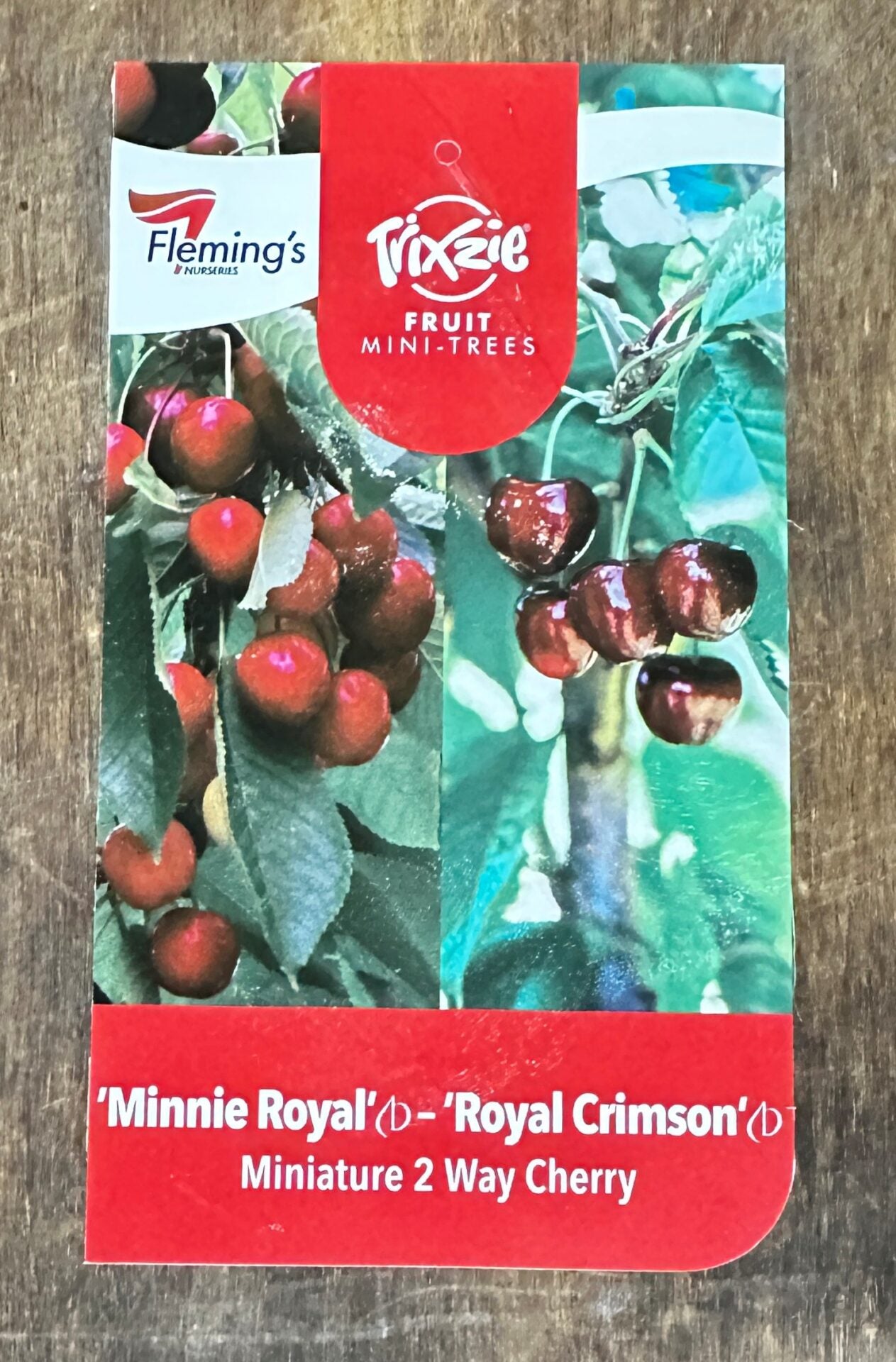 2 Way Trixzie Minnie Royal/royal Crimson 50lt