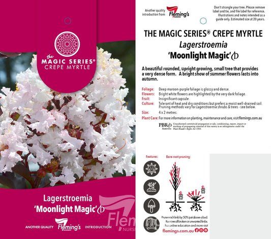 Lagerstroema Moonlight Magic 30lt