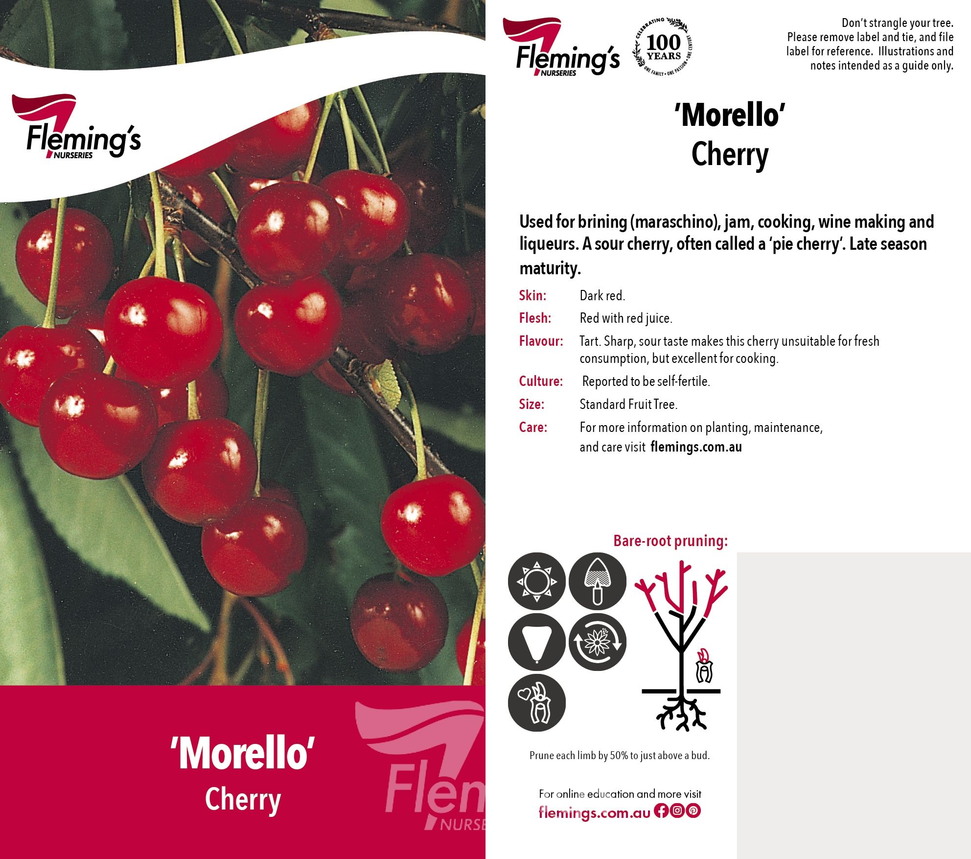 Morello 30lt – Bigga Trees