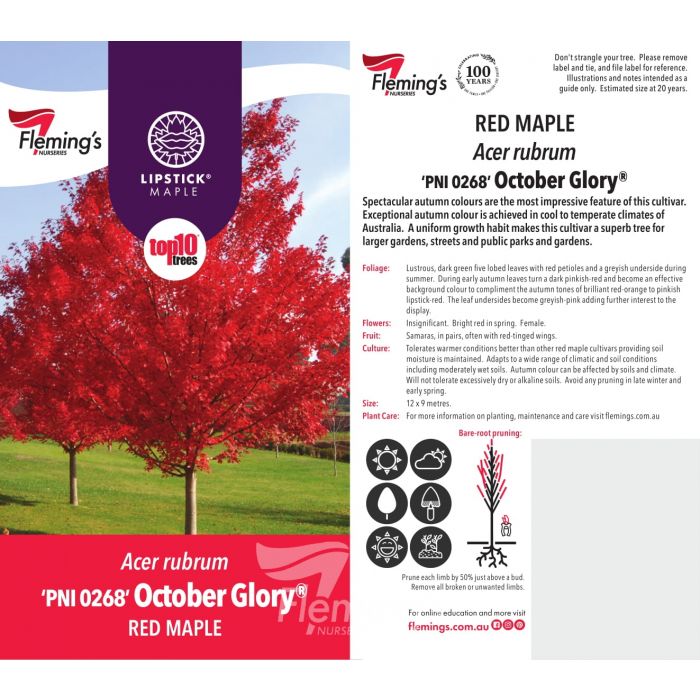 Acer October Glory 50lt