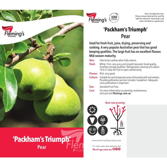 Packham's Triumph 50lt